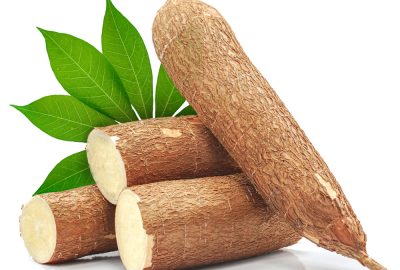 cassava