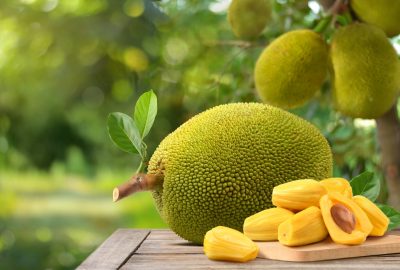 Ripe,Jackfruit,With,Jackfruit,Plantation,Background.